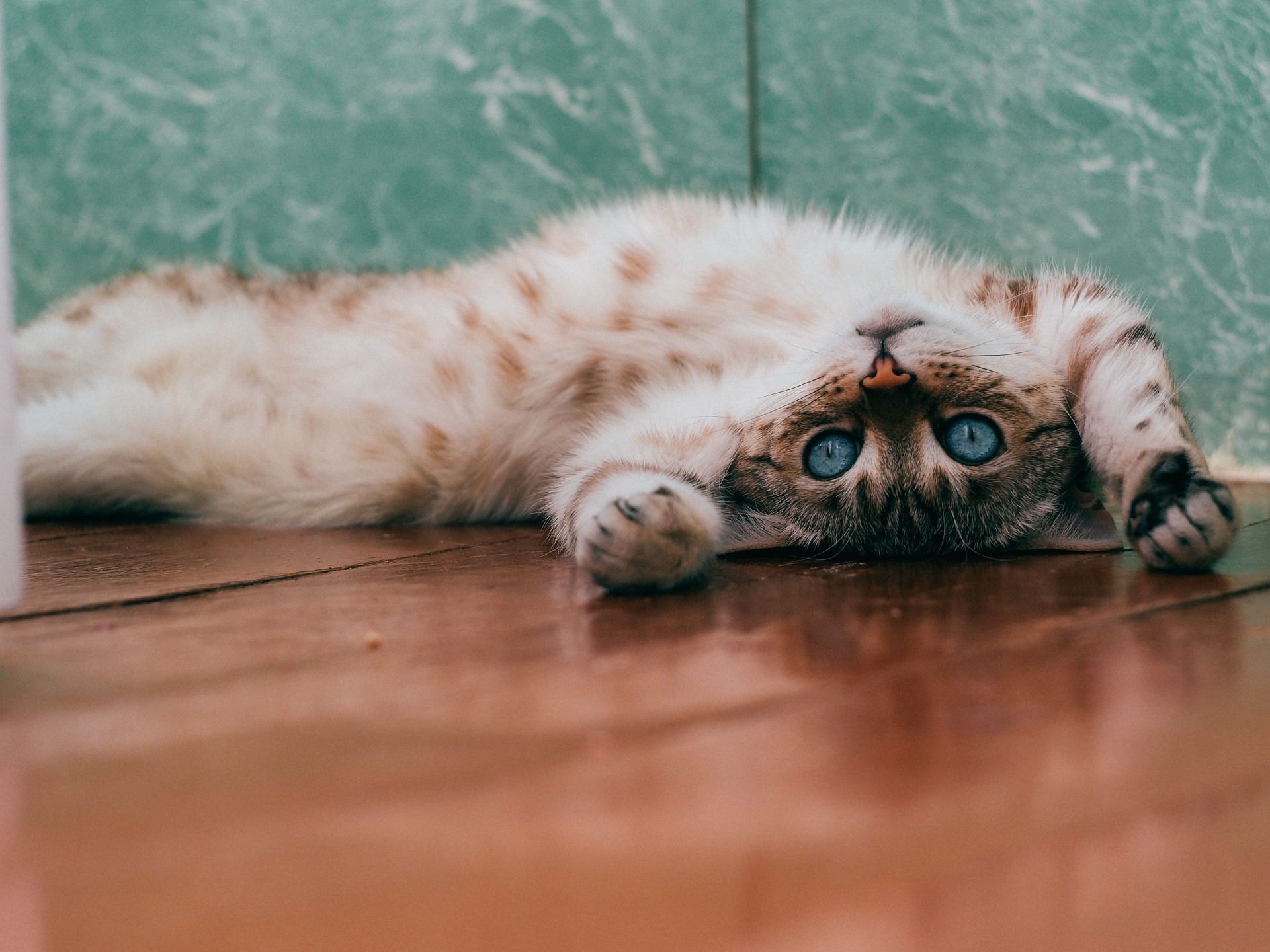 Conducted several studies on this (Image via Unsplash/ Daria Shatova)